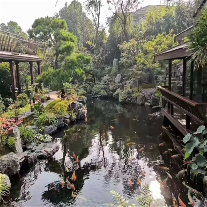 洛阳小庭院假山鱼池